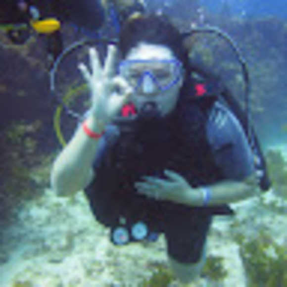 Meet your Posher, Chanel - Picture 1 of 1